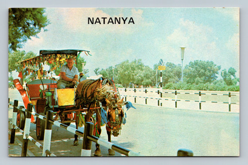 Typical scene in Natanya Israel postcard by Colorama Publishing