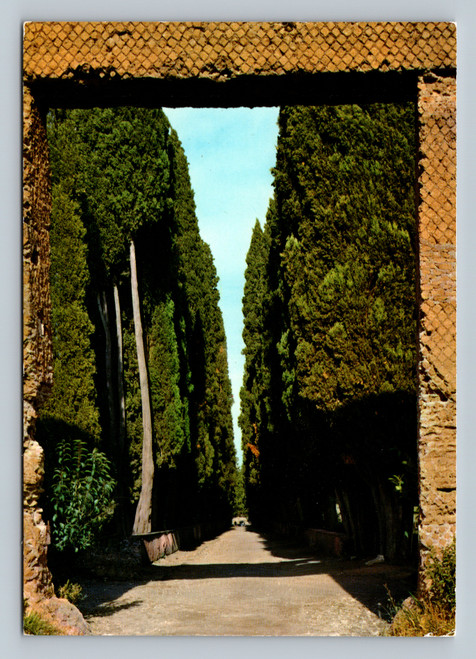 Villa Adriana with cypress avenue in Roma Italy postcard