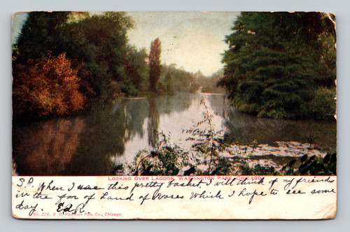 Looking over lagoon at Washington Park Chicago vintage postcard