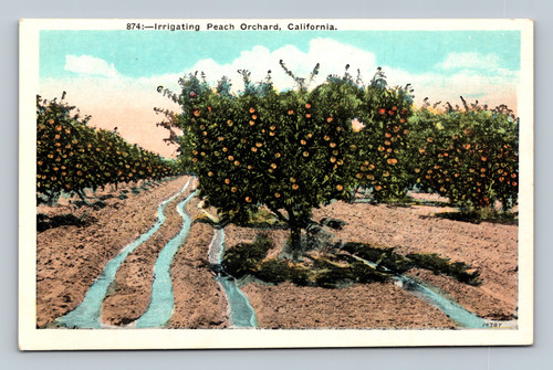 Irrigating Peach Orchard in California by M. Kashower Co.
