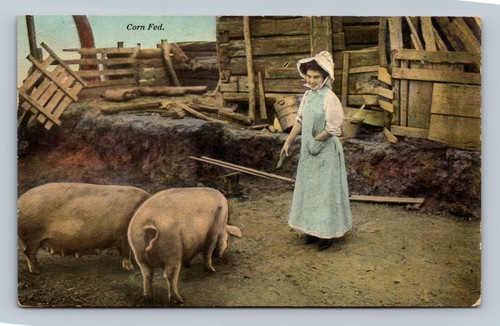 Corn Fed vintage postcard with U.S. postage stamp and handwritten message