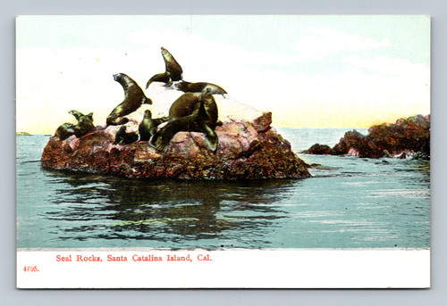Seal Rocks at Santa Catalina Island California scenic coastal view postcard