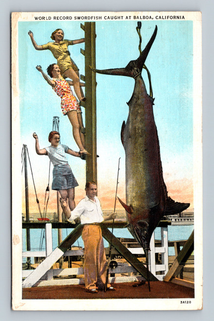 World record swordfish caught at Balboa California 1934 postcard