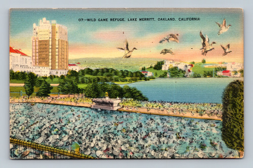 Wild Game Refuge at Lake Merritt Oakland California postcard