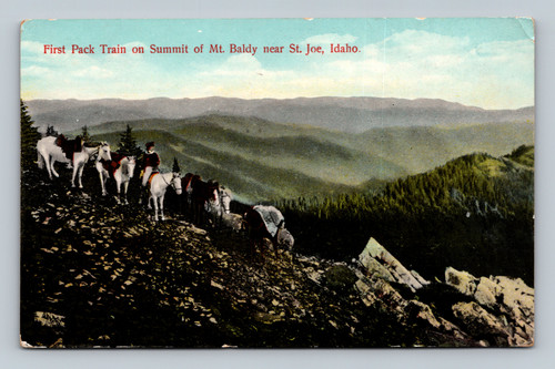 First Pack Train on Summit of Mt. Baldy near St. Joe Idaho postcard