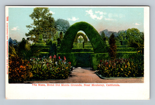 The Maze at Hotel Del Monte Grounds near Monterey California vintage postcard