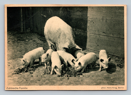 Numerous family group photo by Hans Krug in Berlin Germany