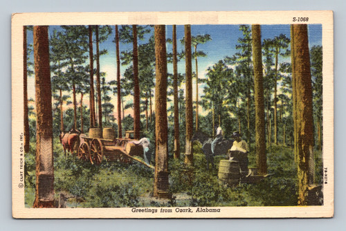 Greetings from Ozark Alabama postcard by Curt Teich