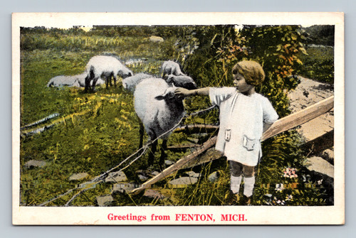 Greetings from Fenton Michigan colorful local landscape postcard