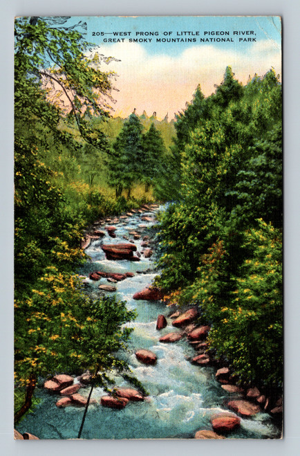 West Prong of Little Pigeon River Great Smoky Mountains National Park postcard