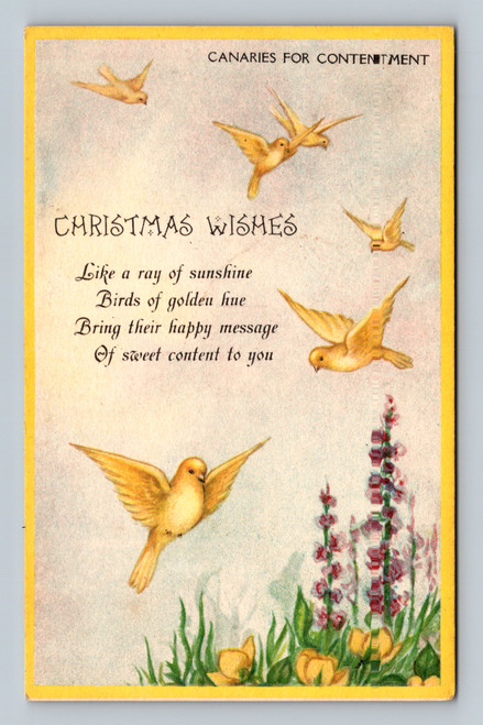 Birds of golden hue bringing a happy message of sweet content postcard