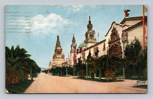 International Exposition Palm Avenue at Panama Pacific San Francisco postcard
