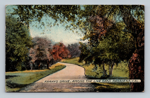 Arrayo Drive among live oaks in Pasadena California vintage postcard