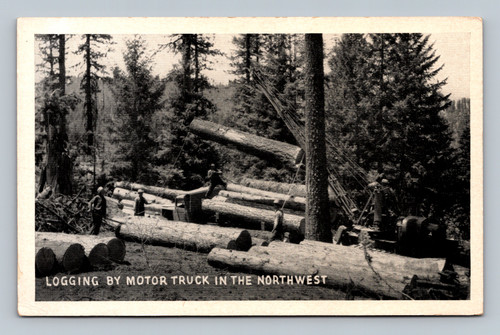 Logging by motor truck in the Northwest postcard