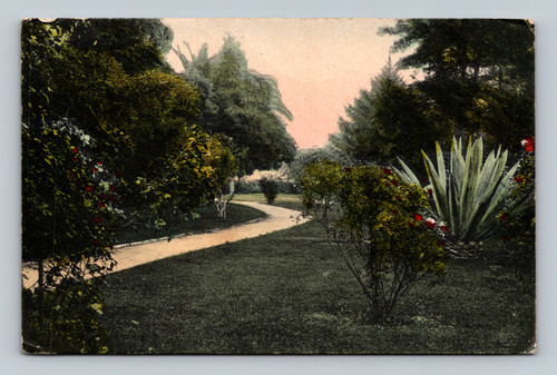 Handcolored park scene postcard from Pomona California 1909 by M. Rieder