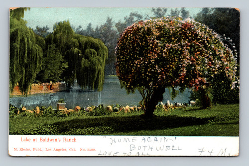 Lake at Baldwin's Ranch scenic view postcard from 1914 Los Angeles