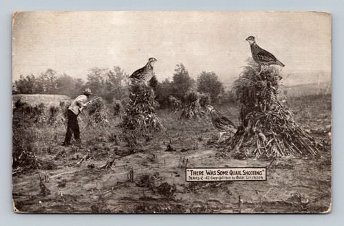 Quail shooting scene by Oscar Erickson