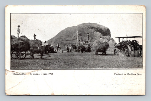 Threshing scene in El Campo Texas postcard 1910