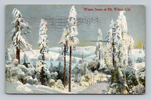 Winter Scene at Mt. Wilson California Snowy Landscape