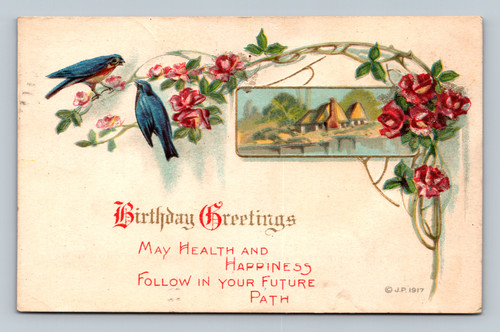 Birthday greetings postcard from Delvidere U.S.A. dated 1917