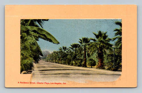 A Residence Street in Chester Place Los Angeles California postcard