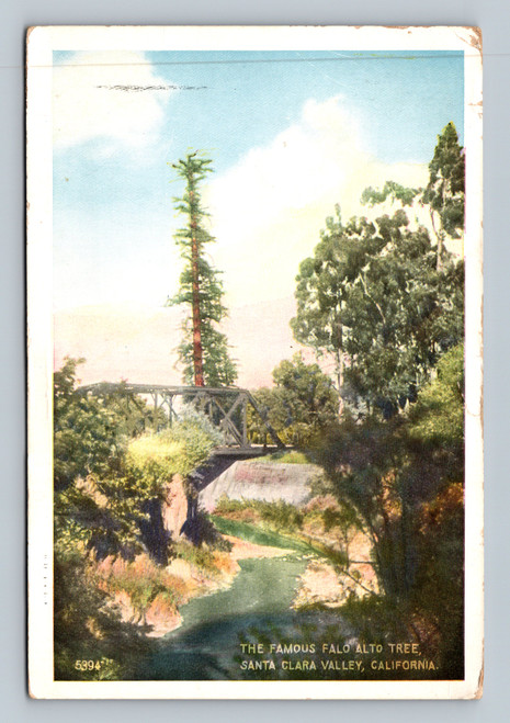 The famous Palo Alto tree in Santa Clara Valley California postcard