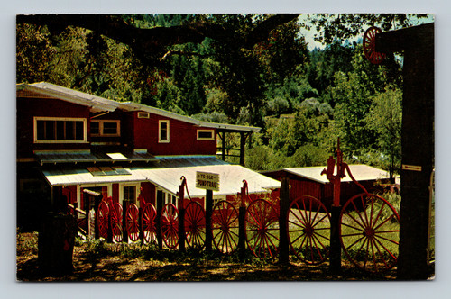 The Old Pump Trail at the Petrified Forest near San Francisco postcard