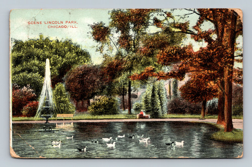 Scene Lincoln Park Chicago Illinois Vintage Postcard
