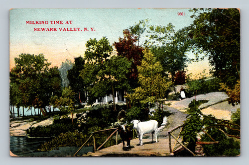 Milking time at a farm in Newark Valley New York 1911 postcard