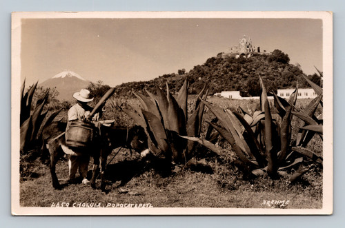 Cholula Popocatépetl volcano vintage postcard by Gevaert
