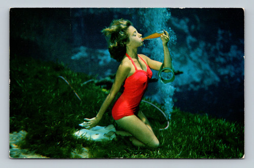 Thrilling scenes at Weeki Wachee Springs Florida postcard