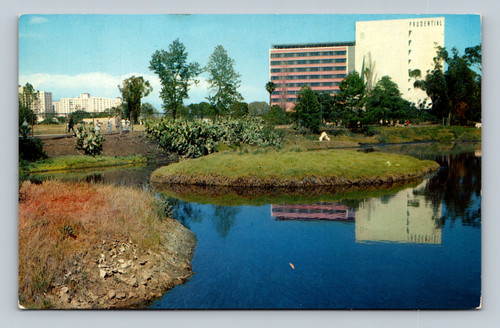 La Brea Tar Pits Los Angeles California Souvenir Postcard