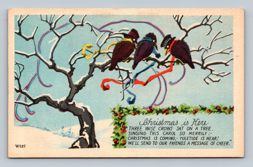 Three wise crows sitting on a tree singing a Christmas carol