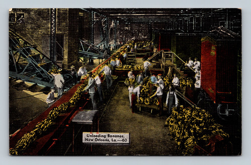 Unloading Bananas at the banana wharves in New Orleans