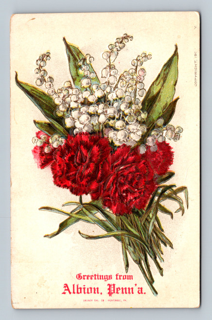 Greetings from Albion Henna postcard by CRUSER CAL. CO