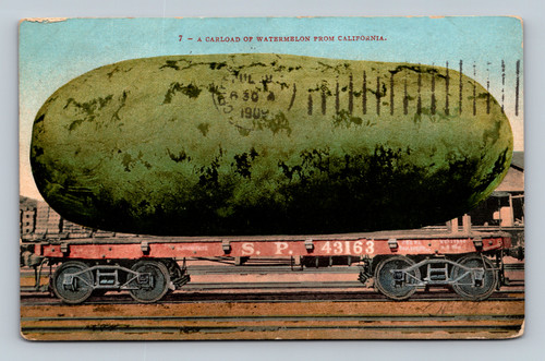 Carload of watermelon from California vintage postcard by Mamitchell San Francisco