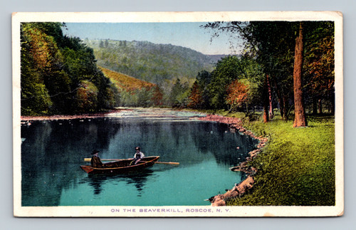 The Beaverkill River in Roscoe New York vintage postcard 1914