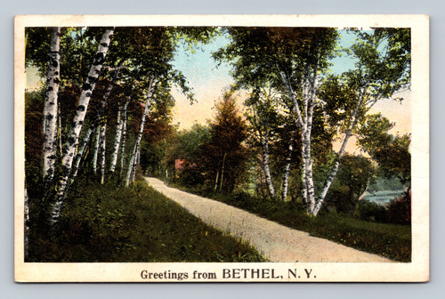 Greetings from Bethel New York vintage postcard with U.S. postage stamp