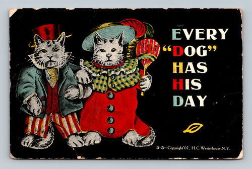 EVERY DOG HAS HIS DAY postcard from Bethel, NY, 1907