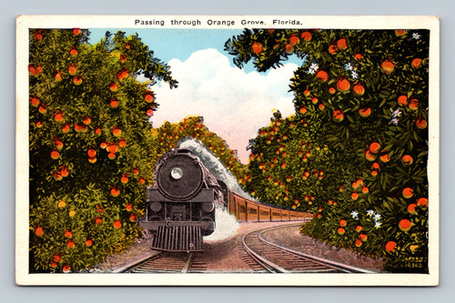 Passing Through Orange Grove Florida Scenic View