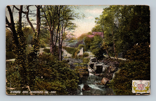 Jesmond Dene park scenic view postcard from Newcastle on Tyne England