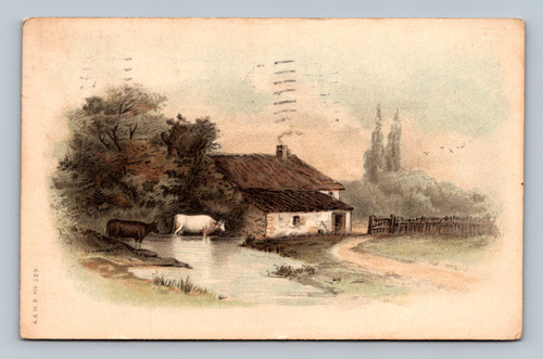 Unknown subject postcard from Monticello, New York by A. & M. B