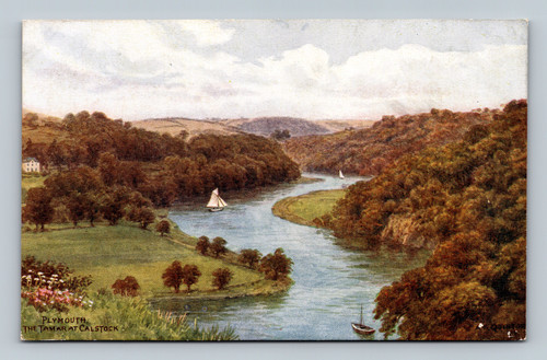 The Tamar River at Calstock England scenic river view postcard