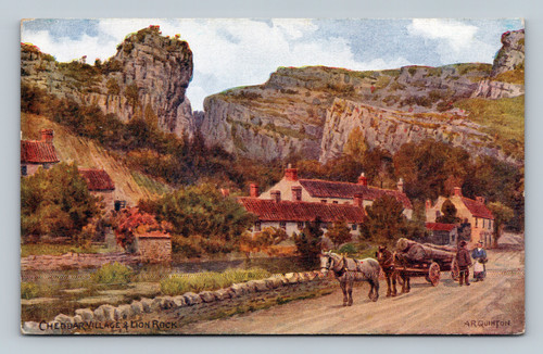 Cheddar Village and Lion Rock postcard by J. Salmon