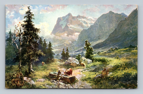 Das Wetterhorn mountain viewed from Kleine Scheidegg Switzerland postcard