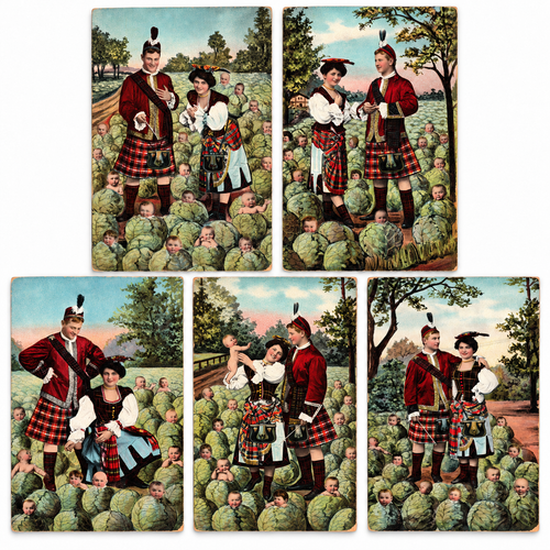 Cabbage Babies Scottish Highland Couple Strauss Muller Postcards Set of 5