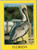 Florida brown pelican
