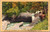 Franconia Notch, Basin and Old Man's Foot, White Mountains, New Hampshire