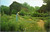 Old Sturbridge Village - Women working in Herb Garden