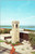 Carillon Tower University of Wisconsin at Madison